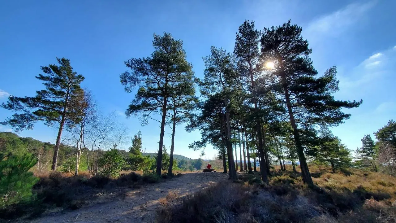 Apartment The Cedarwoods - Luxury For Up To 5 And Your Woof! Christchurch  United Kingdom